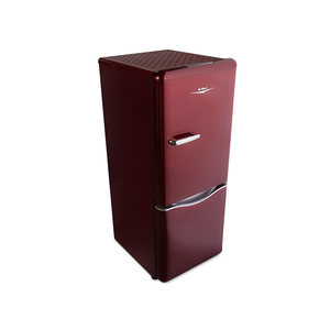 Холодильник двухкамерный Daewoo Electronics RN-173NR