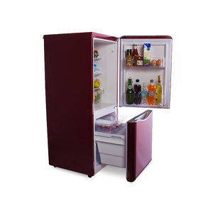 Холодильник двухкамерный Daewoo Electronics RN-173NR