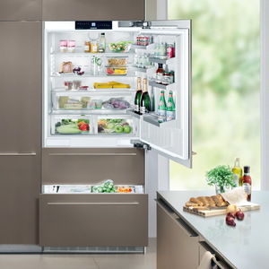 Встраиваемый холодильник Liebherr ECBN 5066-001