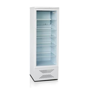 Холодильник однокамерный Бирюса 310
