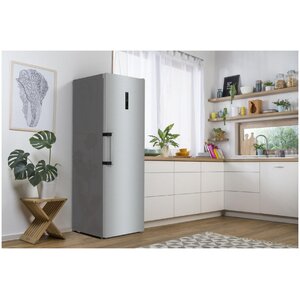 Холодильник однокамерный Gorenje R619EAXL6