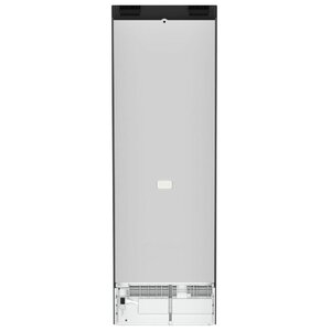 Холодильник однокамерный Liebherr SRBDE 5220-20 001