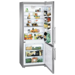 Холодильник двухкамерный Liebherr CNPes 5156
