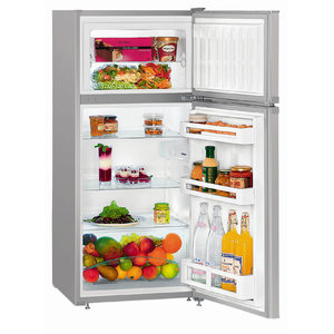 Холодильник двухкамерный Liebherr CTPsl 2521